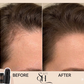 Hairline & Eyebrow  Powder